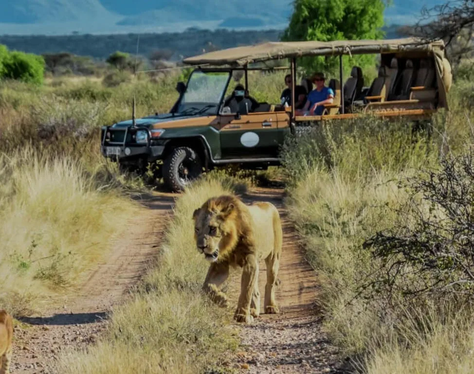 exclusive luxury safari adventures in Kenya by Nandi Adventures