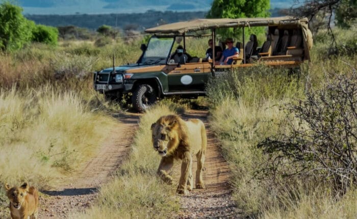 Discover the rugged terrains of Samburu and the vast savannahs of Maasai Mara on a Kenya safari. Witness the "Samburu Special Five" and the Great Migration.