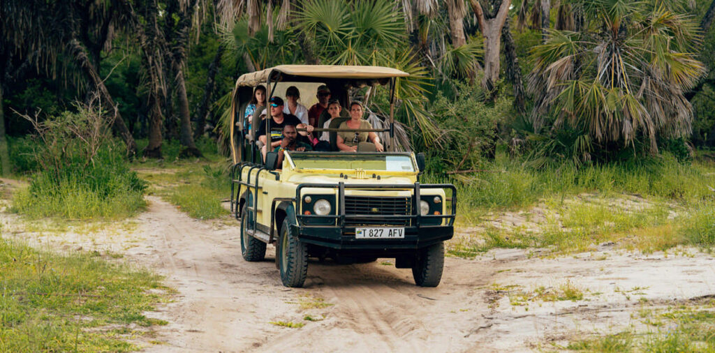 A family on safari in Tanzania will now require local travel insurance