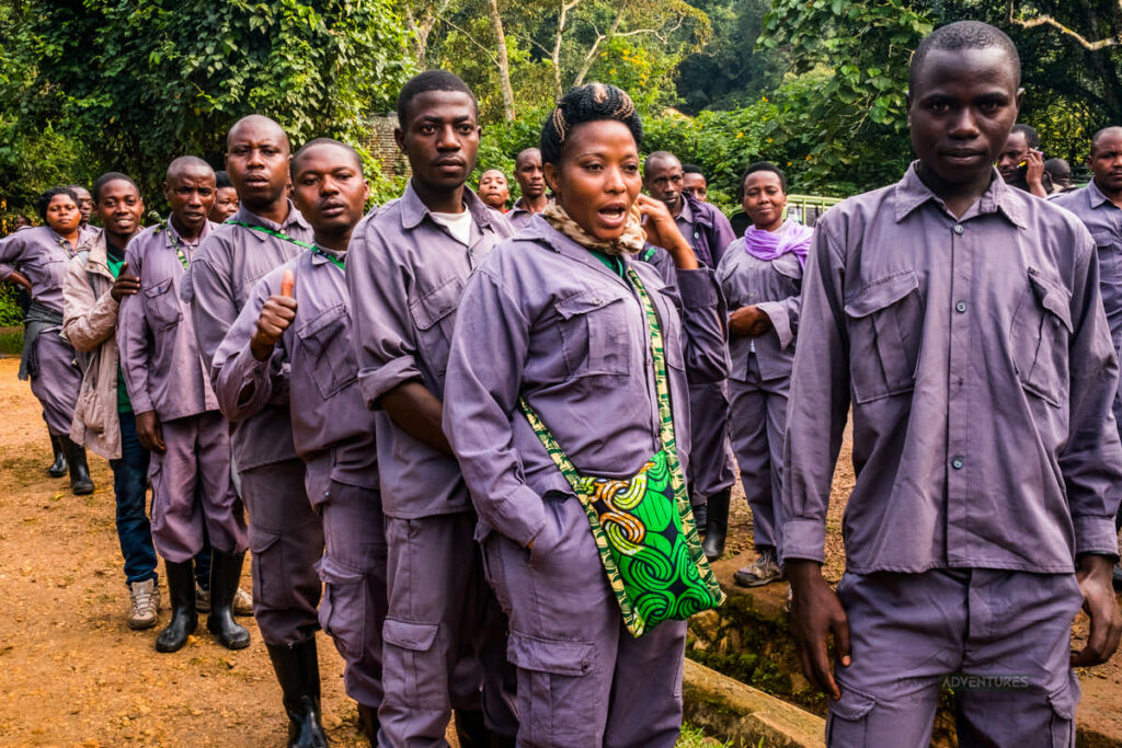 Porters help tourists tracking gorillas by carrying their bags and offering assistance on the steep slippery traiis into the park. Being a porter is considered good work for under-educated younger people and it connects them to the protection of the park and importance of conservation. They make about US$15 per day and the Biwindi Porters have associated in order to help each other make the most of it, including savings cashflow education and loan programs, as well as a reforestation program to help suppliment income when they don't get a porting job for the day. There are about 400 porters working the various parks and tracking locations in the region. Buhoma, Uganda. Photograph by Jason Houston for USAID- Nandi Adventures