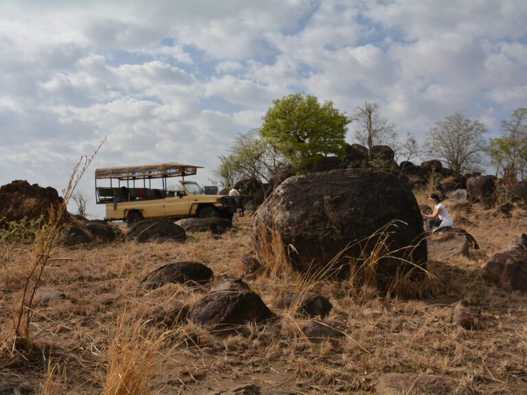 private safari out in the Uganda wilderness with Nandi Adventures