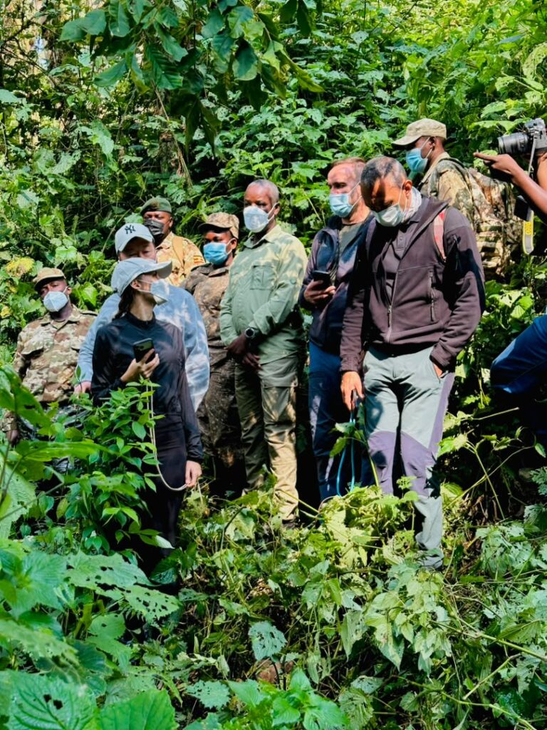 Czech republic speaker and Uganda speaker mountain gorilla trekking in Bwindi 10 | Nandi Adventures Uganda Safari Czech republic speaker and Uganda speaker mountain gorilla trekking in Bwindi – gorilla trekking safaris with Nandi Adventures