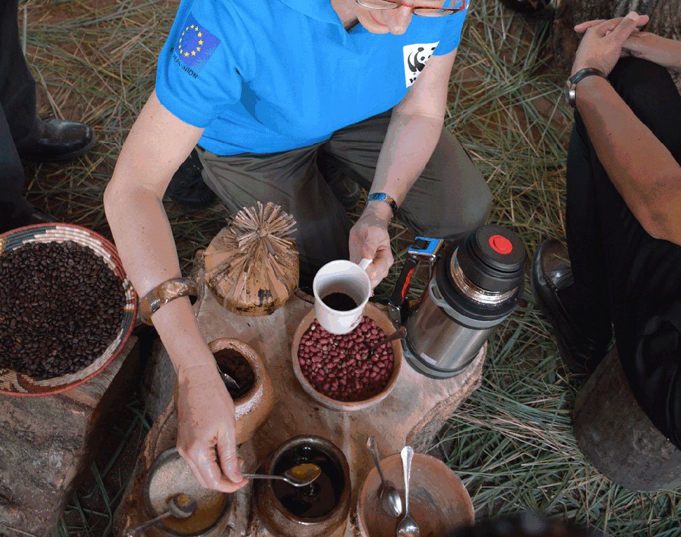 coffee safari experience Uganda Nandi Adventures974 | Nandi Adventures Uganda Safari
coffee-safari-experience-Uganda-Nandi-Adventures